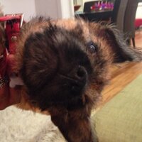 Richard Llewellyn (@richllewellyn) 's Twitter Profile Photo Richard Llewellyn (@richllewellyn) 's Twitter Profile Photo