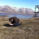 Gunn Karin Olsen - @GKOlsen - Twitter