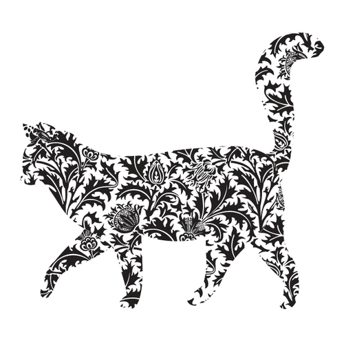 AgencyCAT's profile picture. Modelling Agency, Los Angeles, California