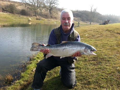kevinswift6's profile picture. BCFC fan, home and away.  Father and husband to an understanding family (and dog).  Love football and fishing.