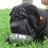 buzz_pei's profile image