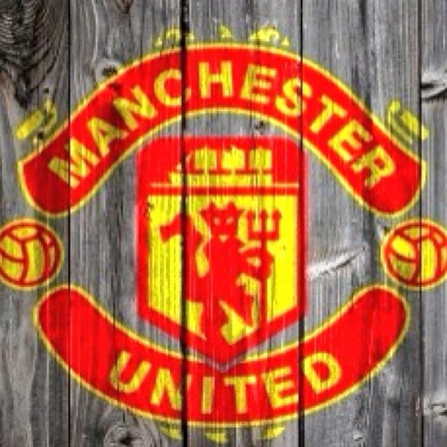 UFCFollowers's profile picture. 