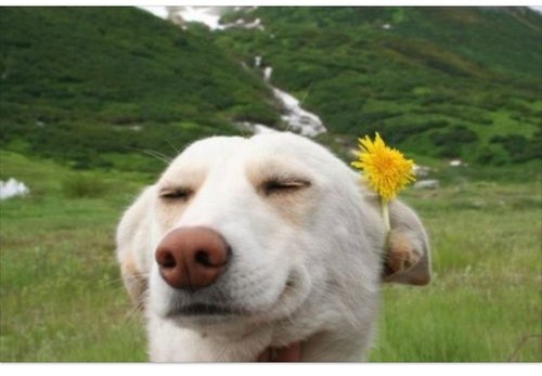 RojdaPolat1's profile picture. 