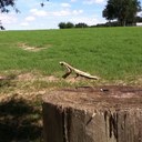 Andy Getz - @andygetz38 - Twitter