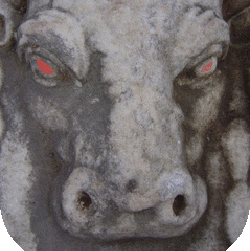 dzackar's profile picture. zacka!