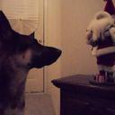 John Bourke - @songbird1943 - Twitter