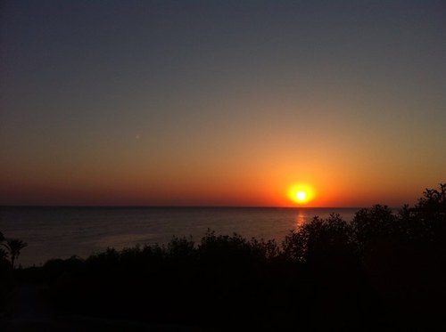 tom_tjk's profile picture. 