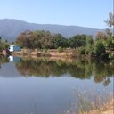 Anthony Purcell - @AnthonyPurcell3 - Twitter