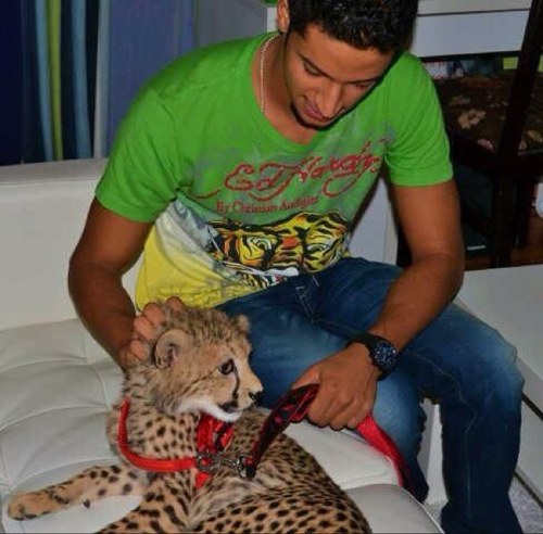 AlmoudiA's profile picture. 