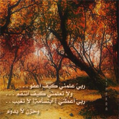 tgb1924's profile picture. 