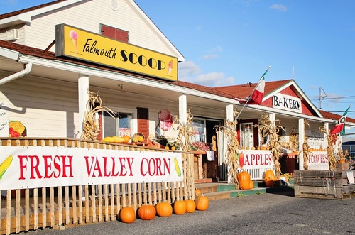 We offer local fruit and vegetables, plants and flowers. We also have an onsite bakery and ice cream shoppe!