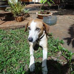 sallyD11's profile picture. イギリス在住｡ 子離れ中