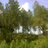 Inge_Forestal's profile image