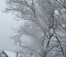 SIRTEACHYOU's profile picture. 