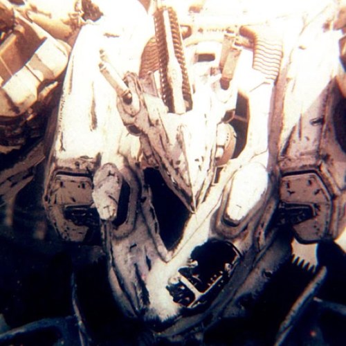 haruna_xenotime's profile picture. 