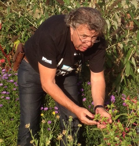 tonymosquito's profile picture. 