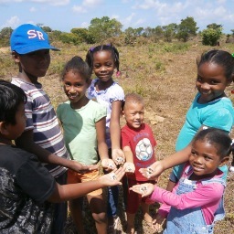 MoringaHarvest's profile picture. #Moringa, The Miracle Tree will cure the world of malnutrition. Social Enterprise - Selling Moringa and planting Moringa for Nicaragua http://t.co/difOHmSSLb