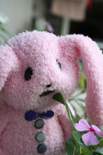 Handmade sock doll and other .