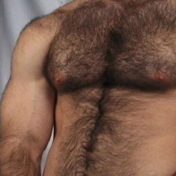 18 + Adult Only, Love Good looking Hairy Chested, Bearded and Furry Men.            'Hairy' Pic's