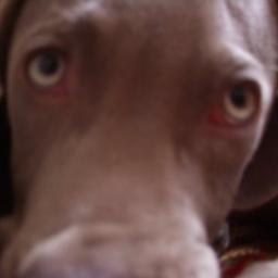 BBGaff's profile picture. 