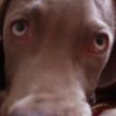 Bridget Gaffney - @BBGaff - Twitter