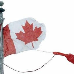 Oh Canada! Our attention is needed to ensure our government acts in our best interest. The key question: what works?