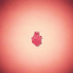 you are the smell before rain, you are the blood in my veins