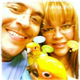Pet Shop, Grooming and Pet Sitting Services