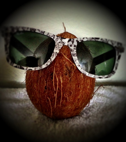 I'm a coconut. Every day I dress as something different. Deal with it. 

coconutty@live.com