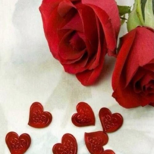 أعيش بين مدينتين ‏ لم أعد اعرف ايهما هي الغربة... 