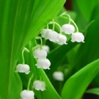 気ままな歌詞bot そう愛が愛にふれて なにかがはじまる そう愛が愛を継いで 輝けるはずだよ だって同じ星で たった一度の出逢い この奇跡は そうはない New Hope こんなに僕らはひとつ Hey Say Jump 気ままな歌詞bot そう愛が愛にふれて なにかがはじまる そう愛が愛を継いで 輝けるはずだよ だって同じ星で たった一度の出逢い この奇跡は そうはない New Hope こんなに僕らはひとつ Hey Say Jump