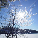 Regina Persson - @regina_penny - Twitter