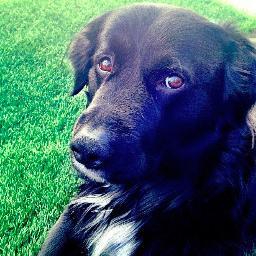 victoryguardian's profile picture. Victory Gardens Apartment Complex - A Community for Artists in North Hollywood, CA