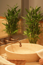 The Signature Luxury Spa of the Village of River Ranch in Lafayette, LA