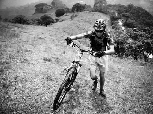 fernkulot's profile picture. 