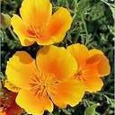 Bernadette Klein - @PMPB7 - Twitter