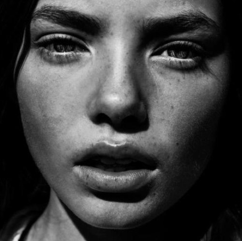 tristed's profile picture. break your own heart