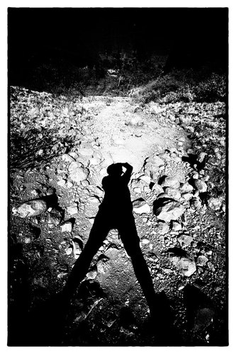 Nature, Wildlife, Sports & Photography enthusiast