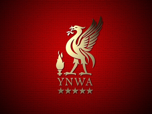 This is the official UK liverpool football club fan page! #lfc #ynwa #liverpool #fc #liverpoolfc #jf96 #suarez #gerrard #football