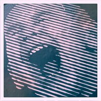 Rainer Lummerstorfer (@rainer_lum) 's Twitter Profile