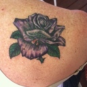 nancy yeoman - @rebelhighlander - Twitter