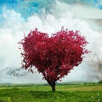 아름다움 (@qoqo3522) 's Twitter Profile