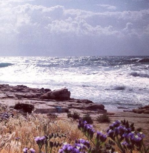 myAirWay's profile picture. Keeping you informed about Air Quality Technology 140 characters at a time.