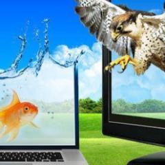 InformatecMex's profile picture. Empresa líder en su ramo, ofrece soporte, mantenimiento de Pc, Sistemas de Información Geografica y Estudios de Impacto Ambiental