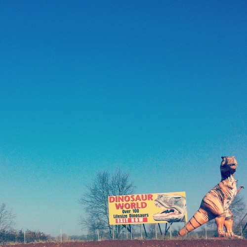 kim__schneider's profile picture. 