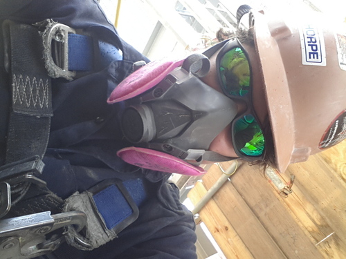 TreyAlfano's profile picture. 