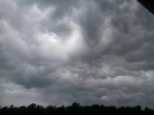 l06087511's profile picture. 