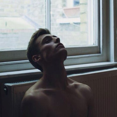 Buenorros everywhere