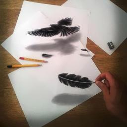 OpticalilIusion Profile Picture