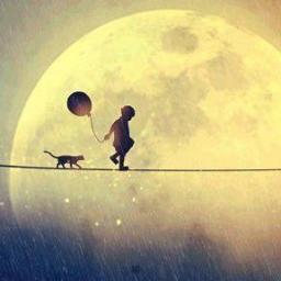 kadimfelsefe's profile picture. FELSEFE YOLDA OLMAK DEMEKTİR.